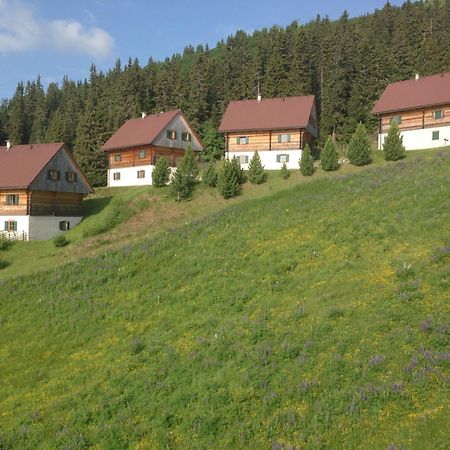 Moselebaueralm Villa Klippitztorl Eksteriør bilde