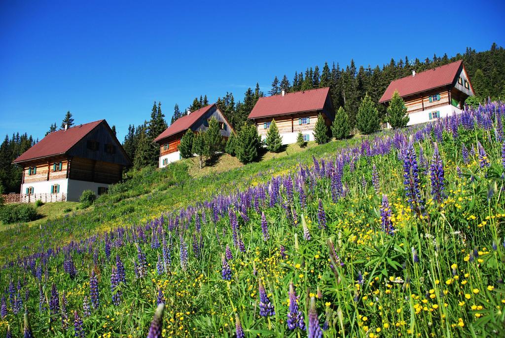 Moselebaueralm Villa Klippitztorl Rom bilde