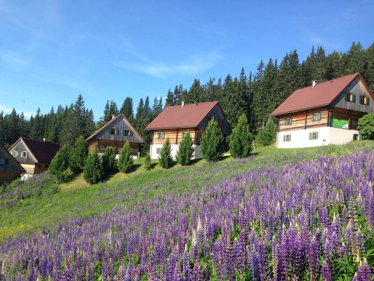 Moselebaueralm Villa Klippitztorl Eksteriør bilde